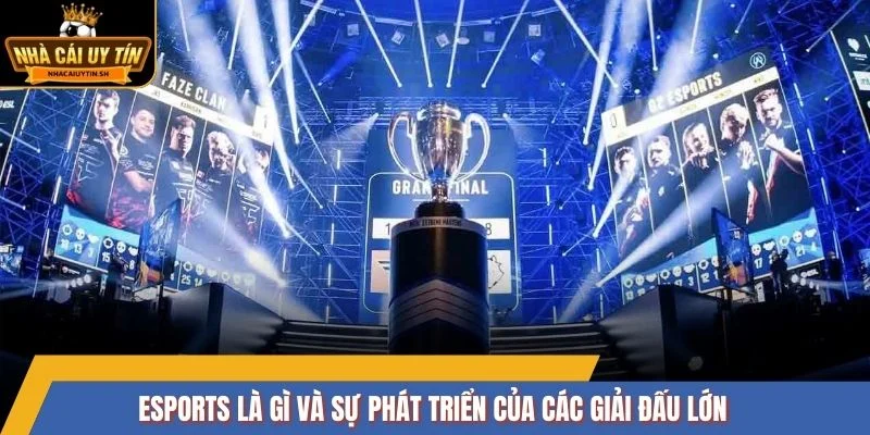 Esports là gì và sự phát triển của các giải đấu lớn
